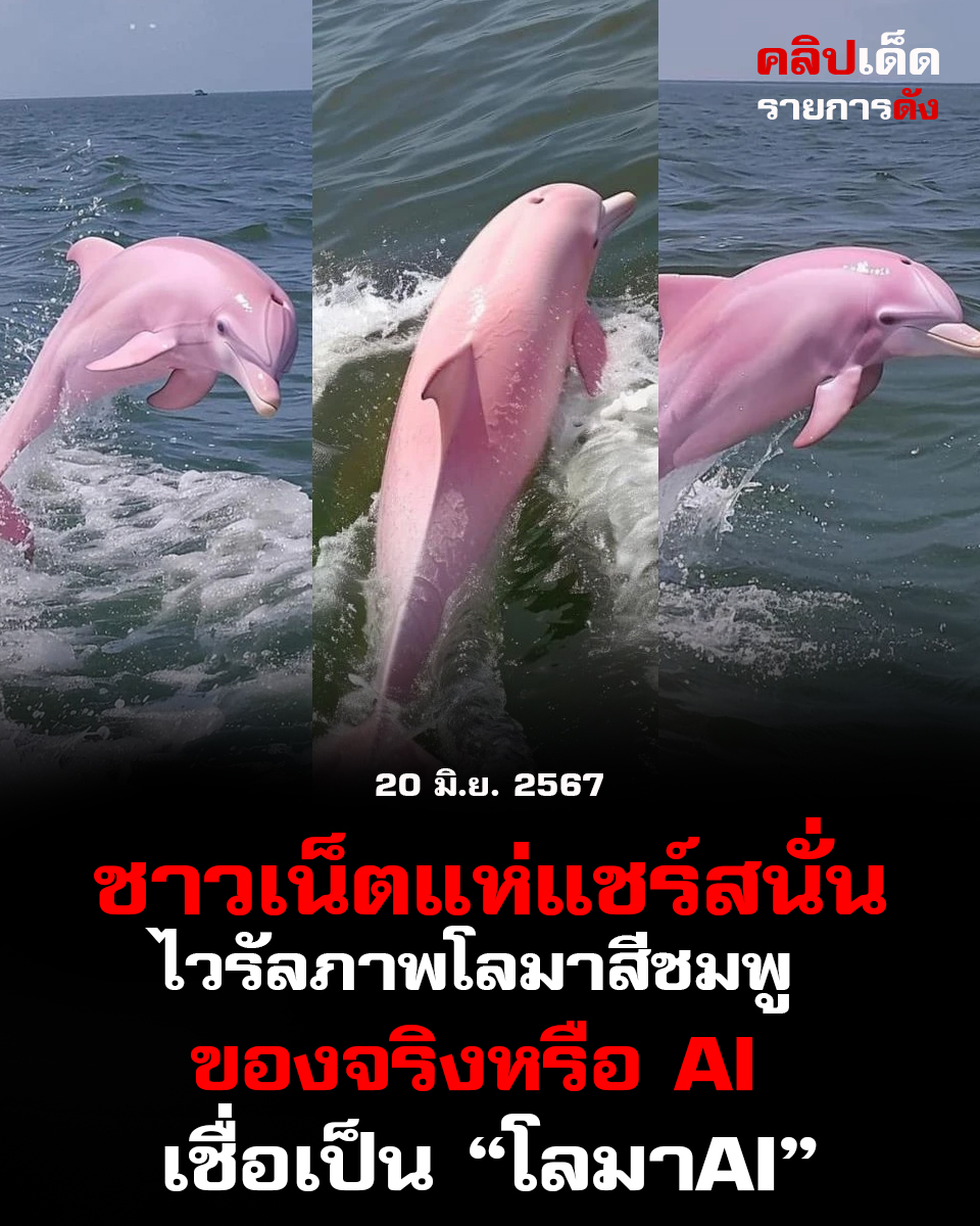 ไวรัลภาพโลมาสีชมพู ของจริงหรือ AI ชาวเน็ตสงสัย ความจริงหรือปลอม?